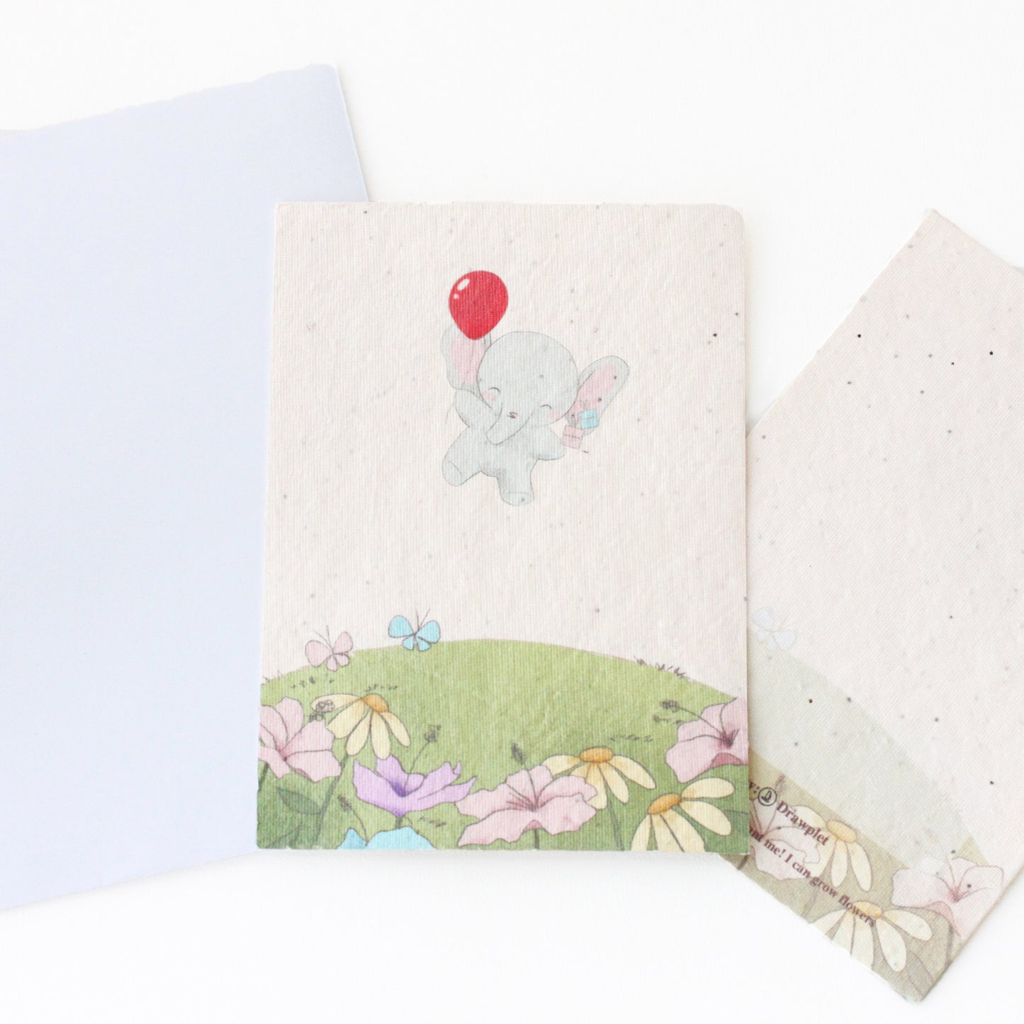 Gift Box Packaging + Plantable gift card