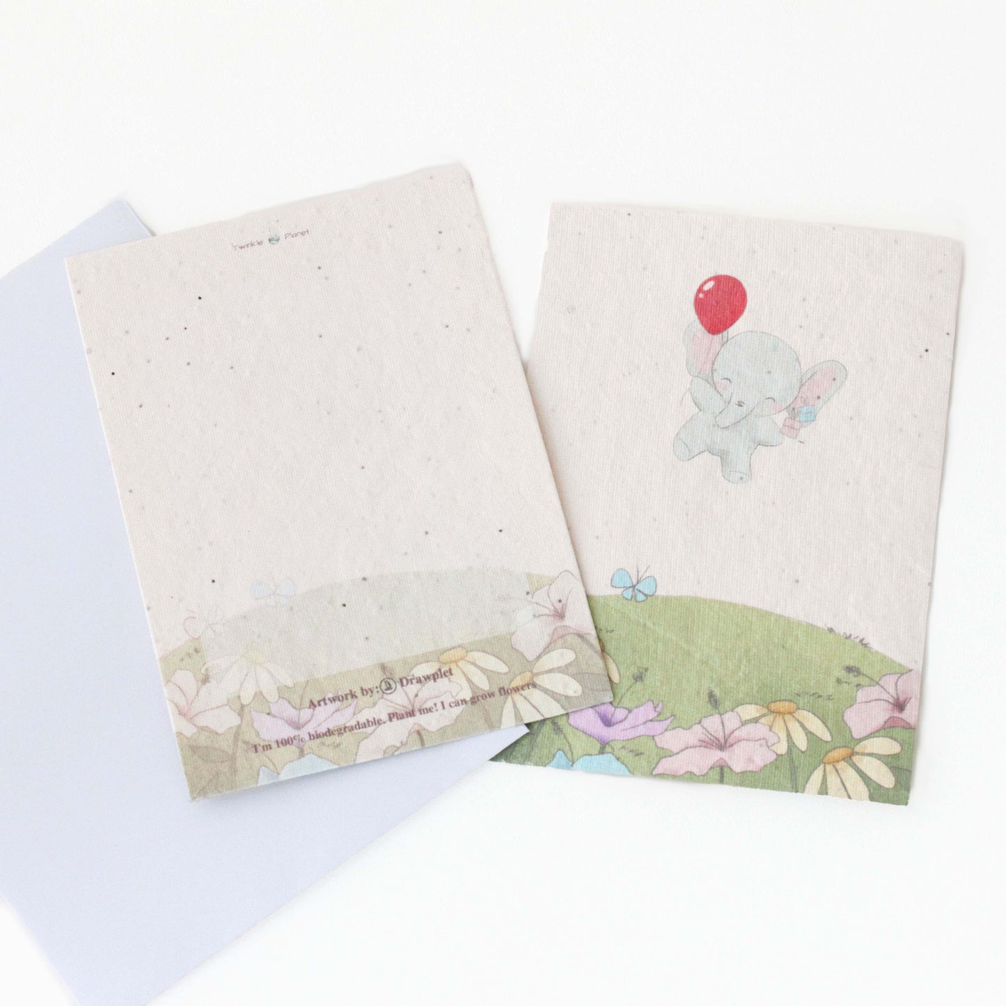 Gift Box Packaging + Plantable gift card